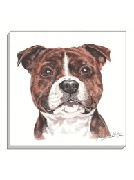 Canvas Print Staffs Bull Terrier