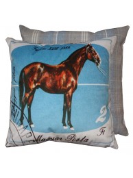 Furioso Cushion