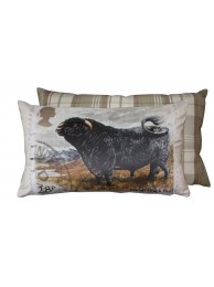 Welsh Black Bull Cushion