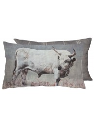 White Park Bull Cushion
