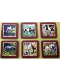Horse & Pony Coasters (6)