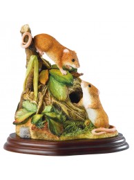 Harvest Mice Was £60.00