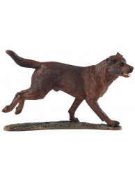 Labrador Chocolate Was £25