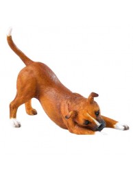 Stafforshire Bull Terrier-red & White