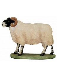 Swaledale Ram (miniatures)