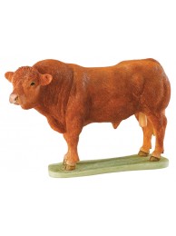 Limousin Bull (small)