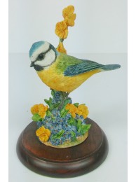 Blue Tit