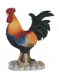 Farm Cockerel
