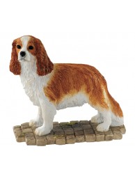 Cavalier King Charles Blenheim