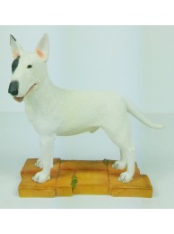 English Bull Terrier
