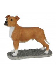 Staffordshire Bull Terrier Tan & White
