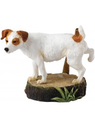 Marking His Territory Jack Russell