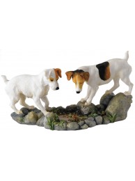 How High? Jack Russell