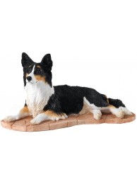 Border Collie Lying (tri-colour)