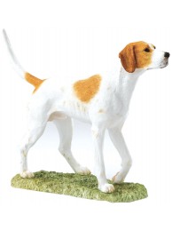 Foxhound Tan & White