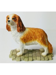 Cavalier King Charles Spaniel Blenheim