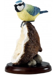 Blue Tit On Coconut Shell