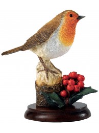 Robin On Winter Berries