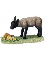 Spring Encounter Black