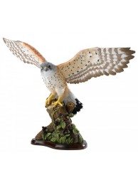 Kestrel