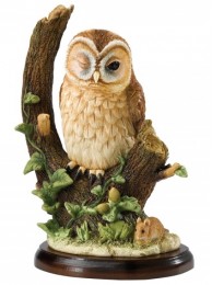 Tawny Owl With Mouse