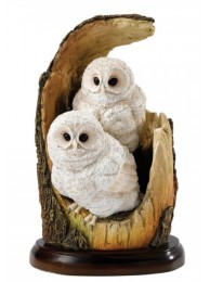 Tawny Owlets