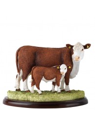 Hereford Cow And Calf