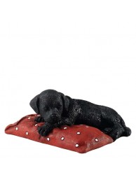 Chilling Out (black)