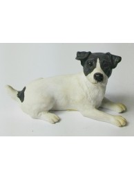 Jack Russell Terrier Lying (black & White)