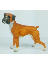 Boxer Standing- Fawn  (dog)