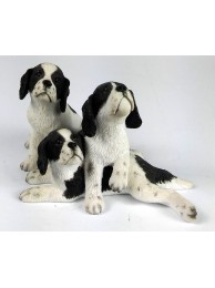 English Springer Spaniel Pups