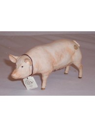 Pig - Pottery