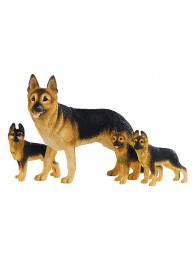 German Shepherd & Three Pups
