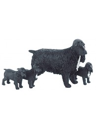 Cocker Spaniel & Three Pups (black)