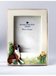 P/frame Boxer (brindle)