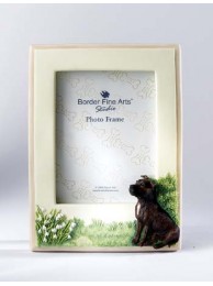 P/frame Staffordshire Bull Terrier