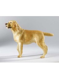 Labrador Standing (yellow)