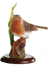 Robin On Clay Pot