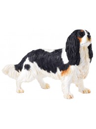 Cavalier King Charles Spaniel Tri