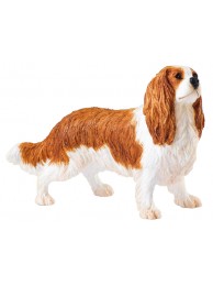 Cavalier King Charles Spaniel Blenheim Standing