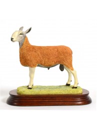 Blue Faced Leicester Tup Was £295