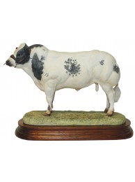 Belgian Blue Bull
