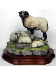 Shetland Family Group Katmoget