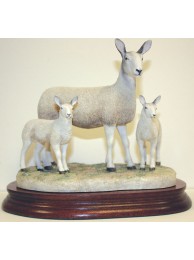 Blue Facedleicester Ewe And Lamb