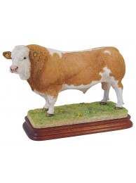 Simmental Bull