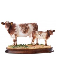 Beef Shorthorn Cow & Calf