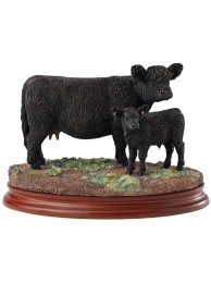 Galloway Cow & Calf Black