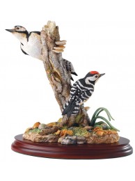 Different Points Of View