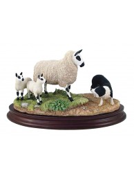 Standing Firm (black & White)