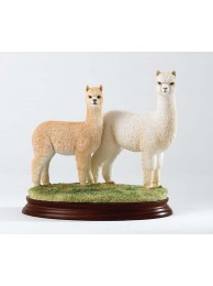 Hembra & Cria (white)